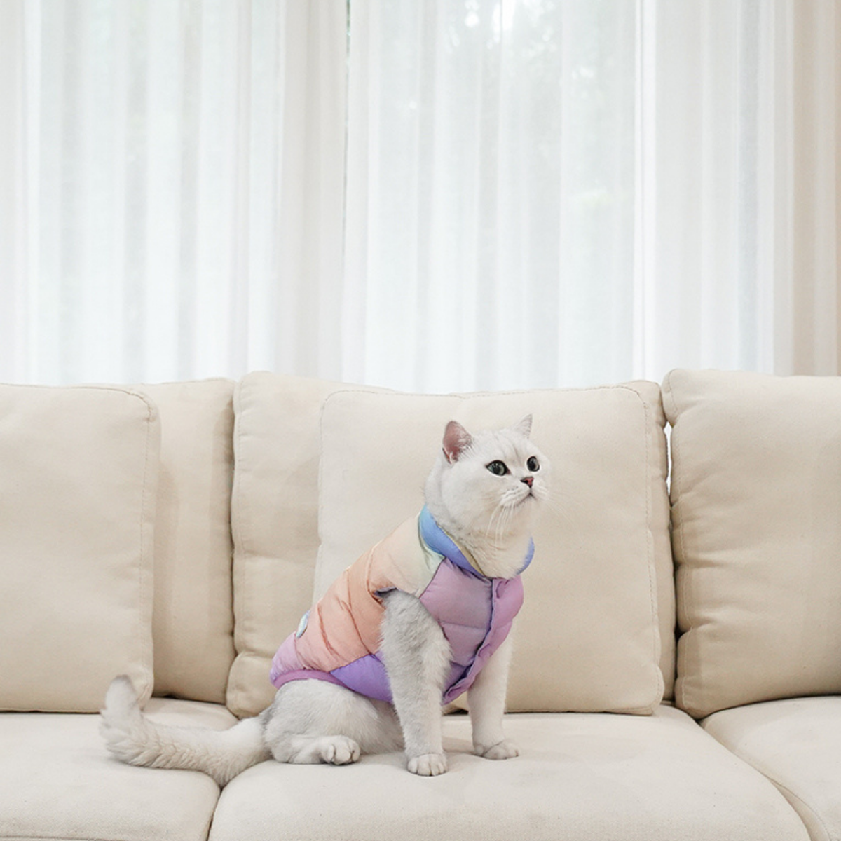 カラフルあったかベスト