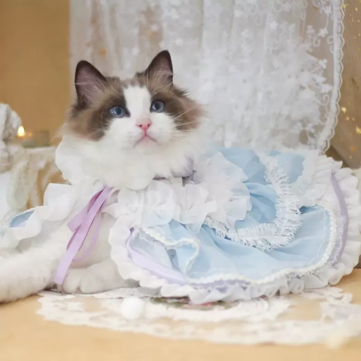 ライトブループリンセス ケープドレス