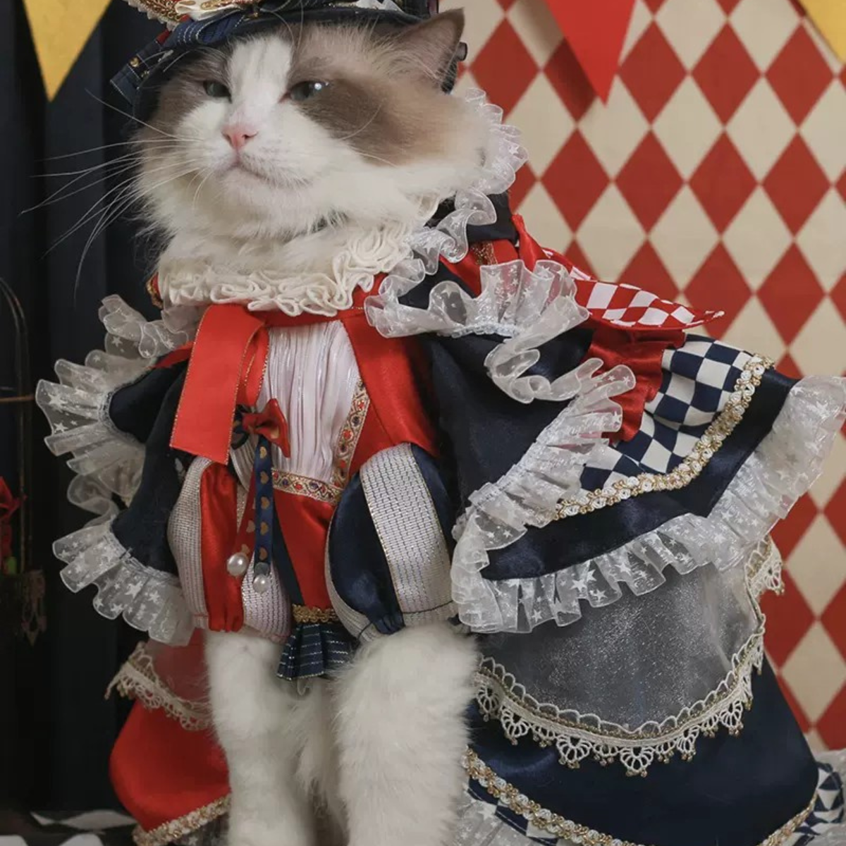 不思議の国のアリス クイーントリックドレス