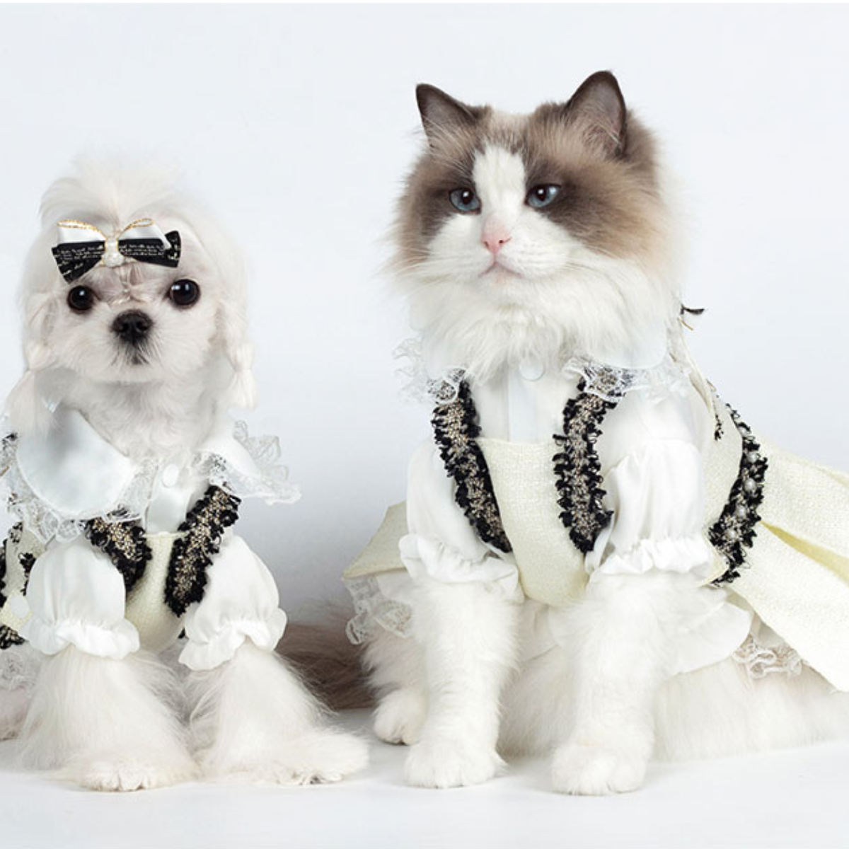 フレグランス サスペンドホワイトスカート