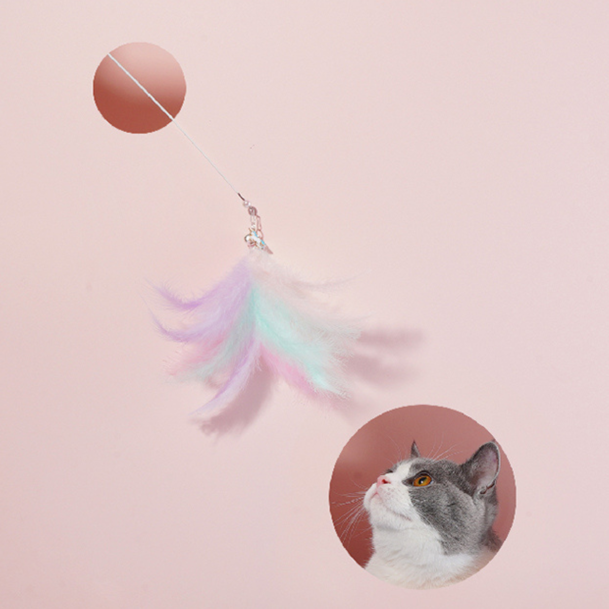 きらきら天使の羽根ねこじゃらし