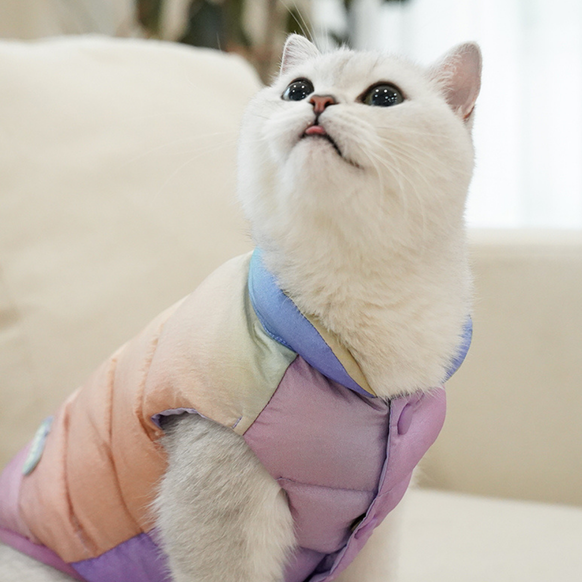 カラフルあったかベスト