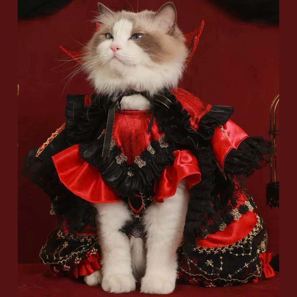 闇夜の覚醒 ミッドナイトドレス