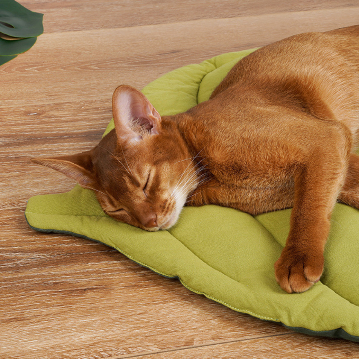 葉っぱ型リバーシブルクッションマット