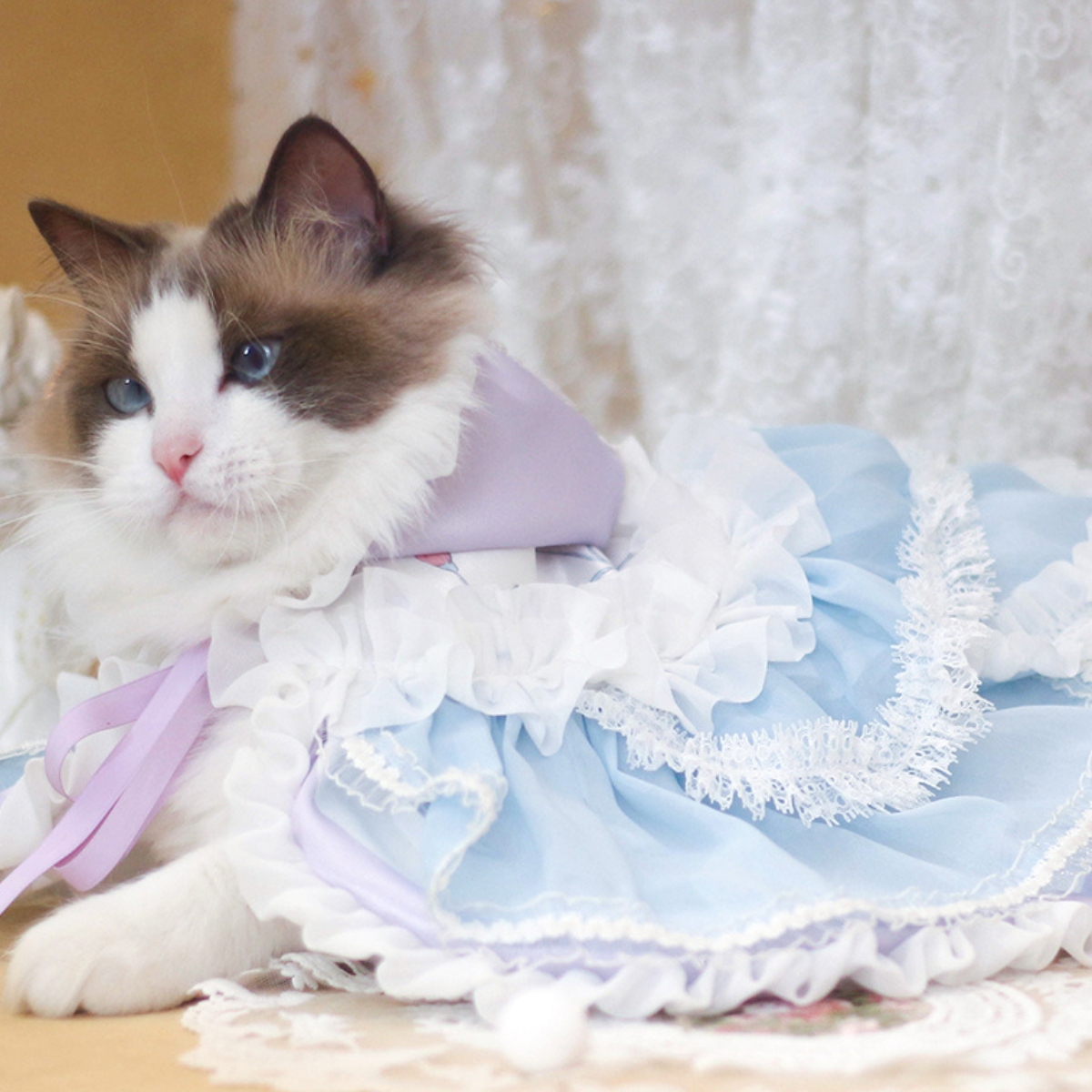 ライトブループリンセス ケープドレス