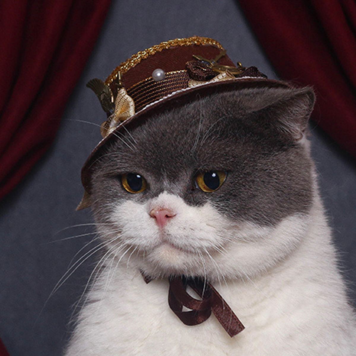 プリンス ブラウンハット