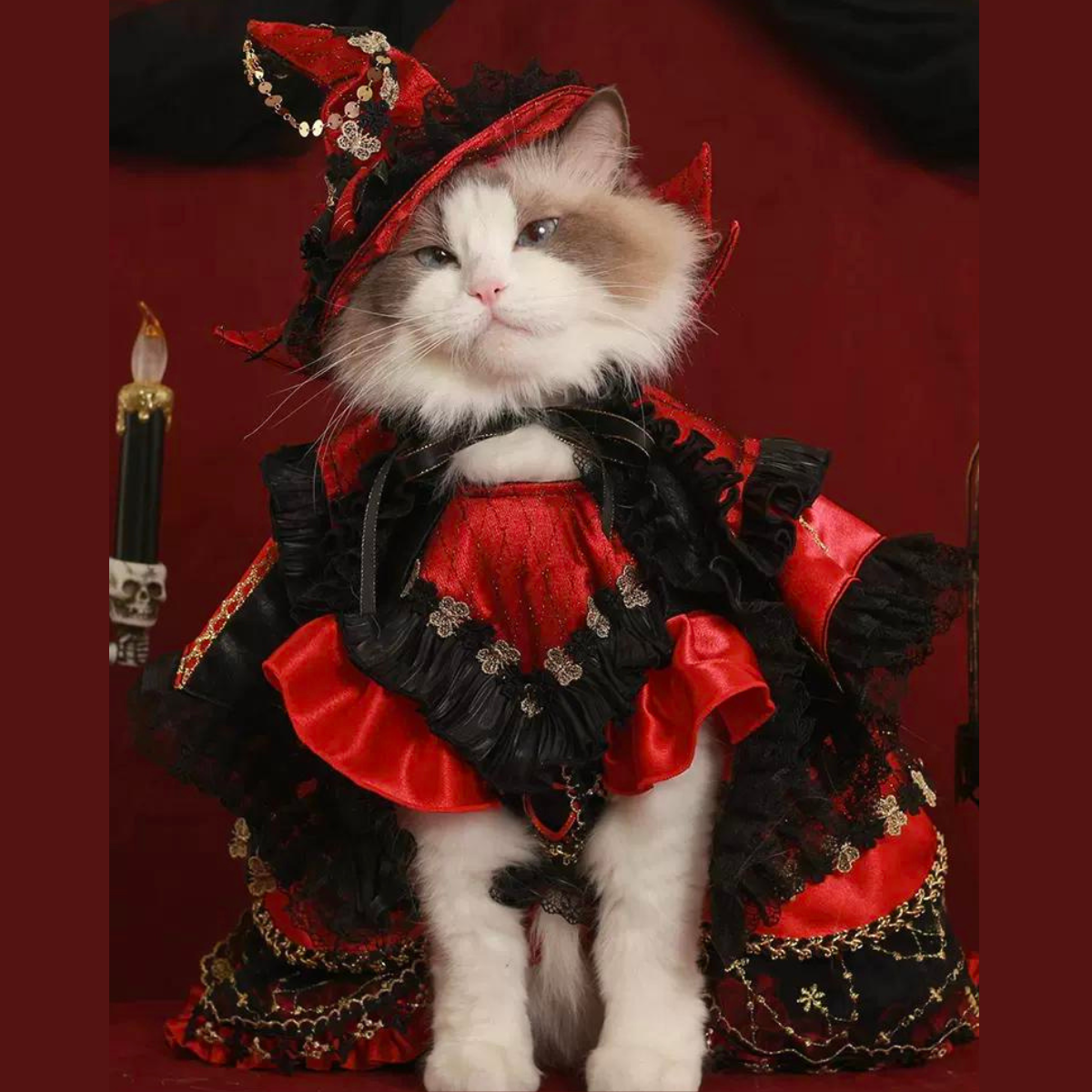 闇夜の覚醒 ミッドナイトドレス