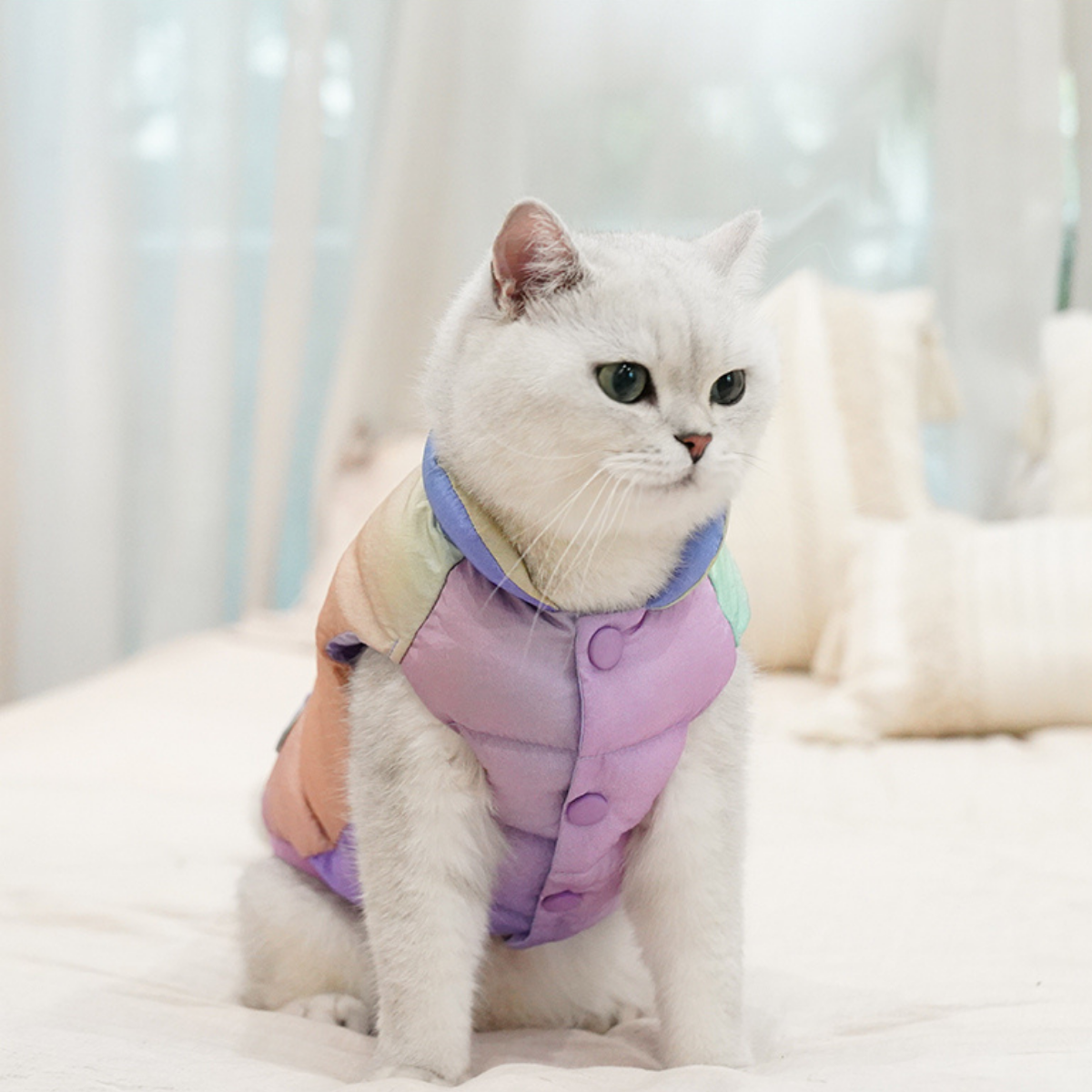 カラフルあったかベスト