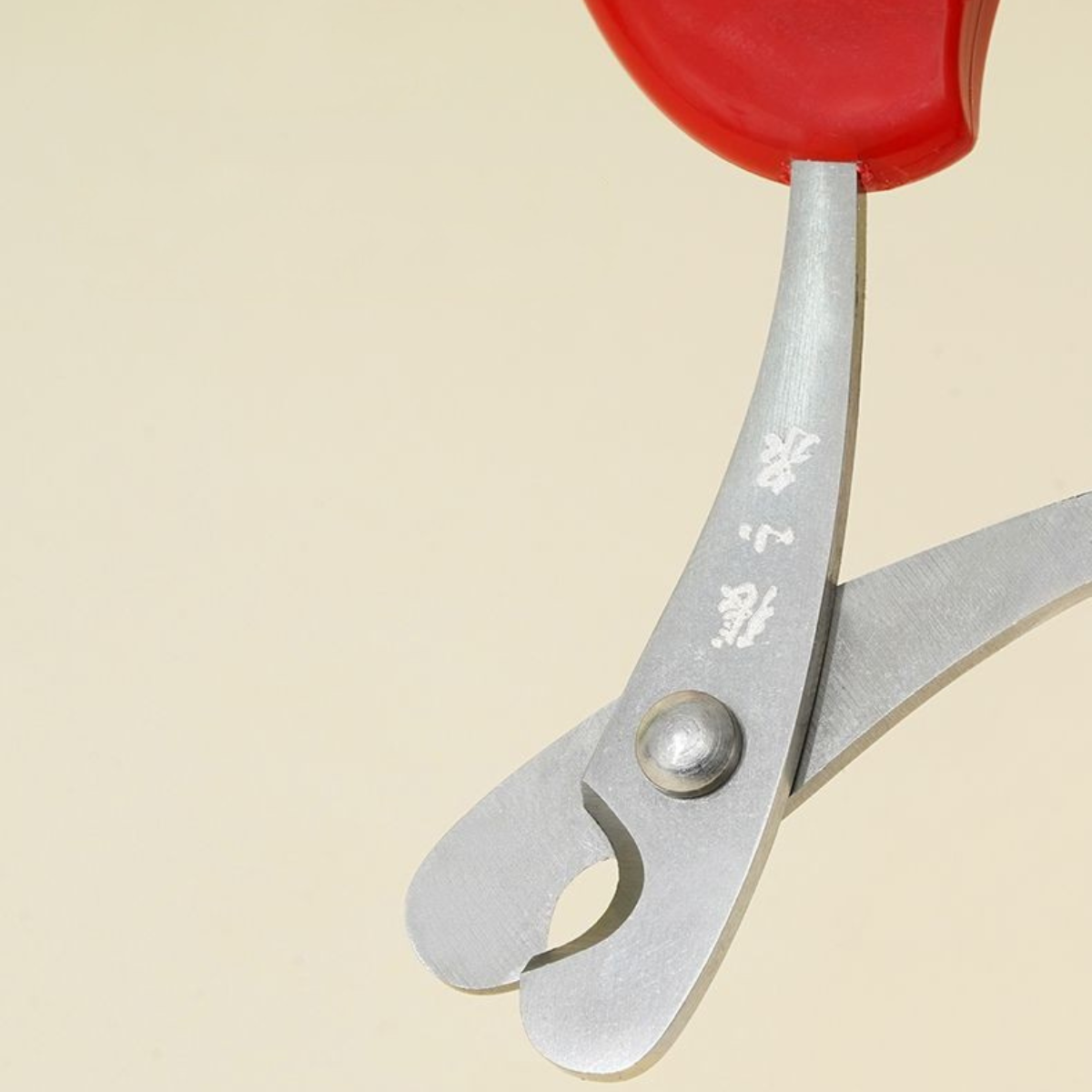 植木鉢なチューリップ爪切り(つめきり)