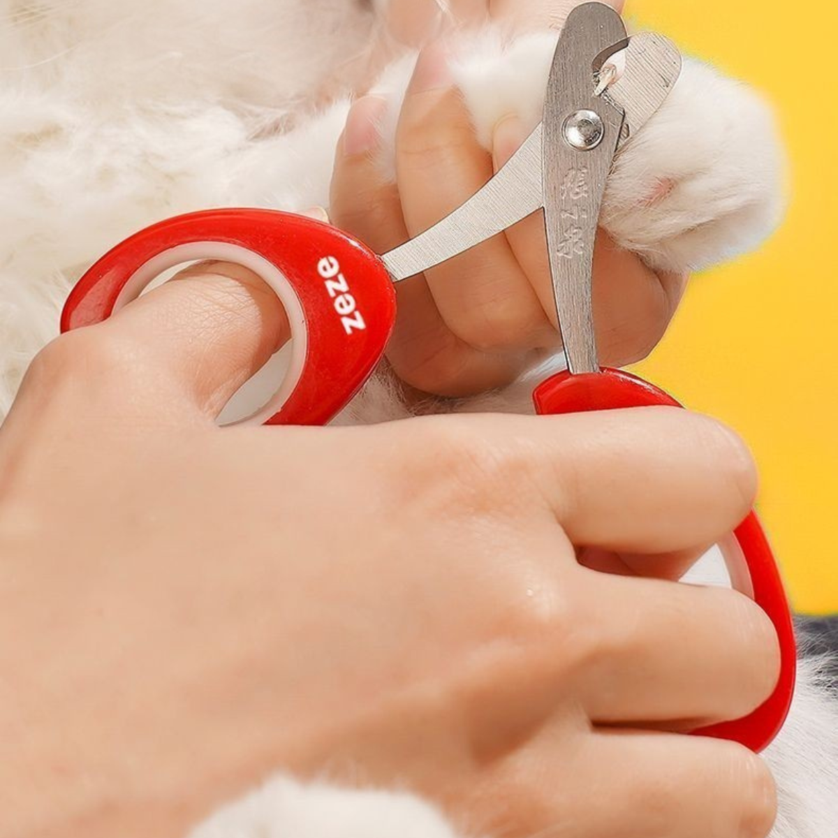 植木鉢なチューリップ爪切り(つめきり)