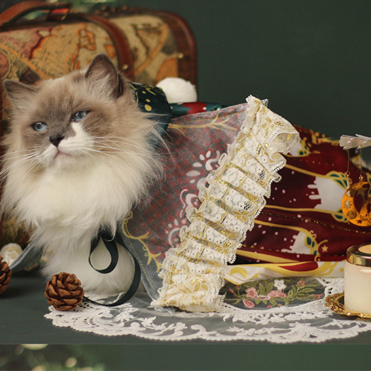 キャンドルライト ケープ