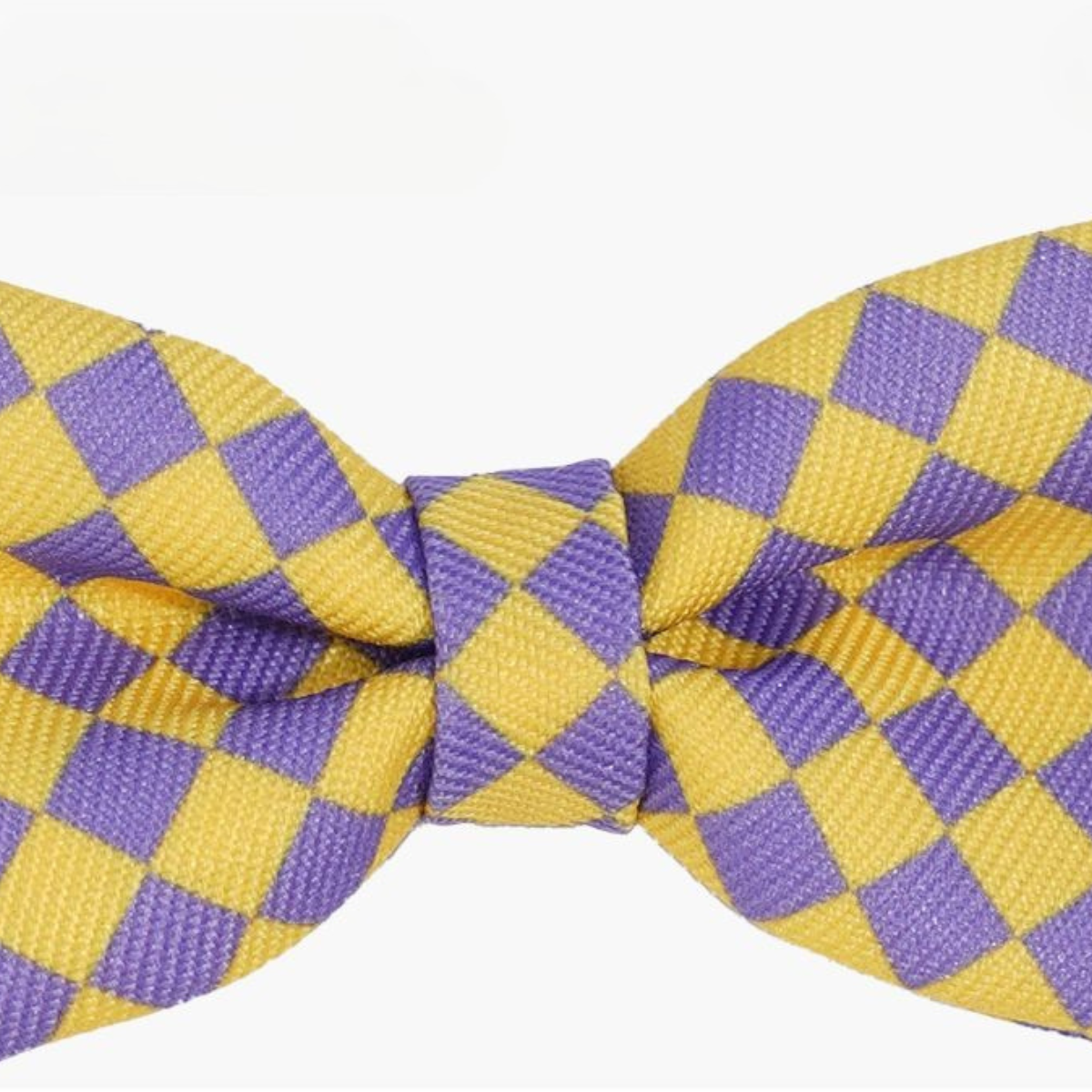 ドット柄蝶ネクタイ首輪