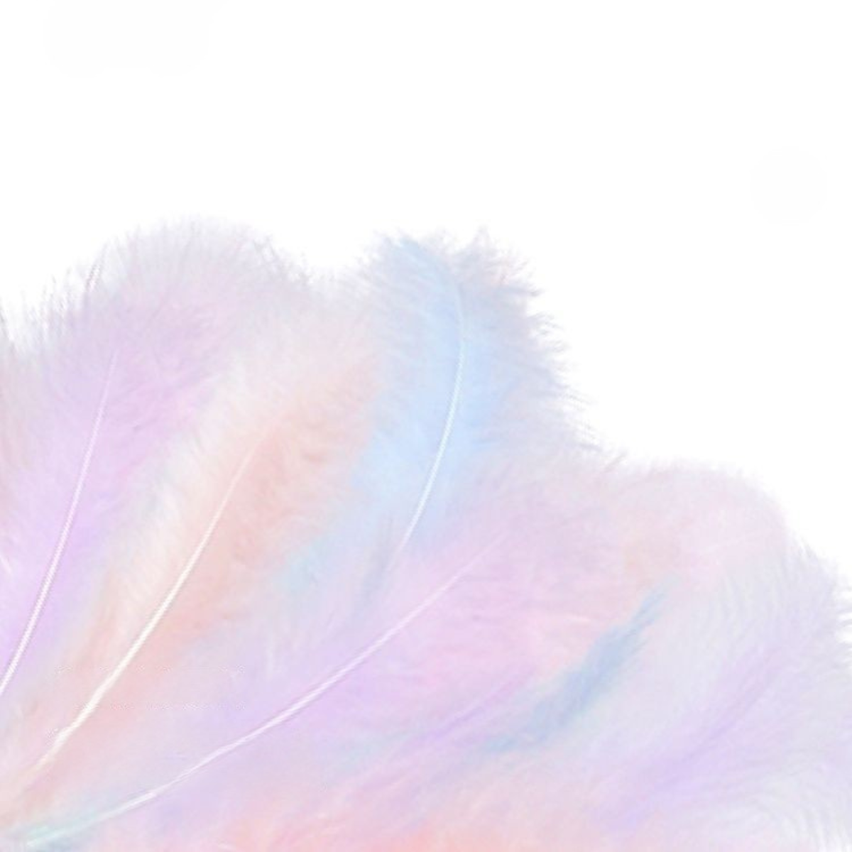 きらきら天使の羽根ねこじゃらし